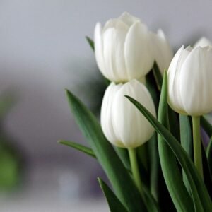 Peaceful White Flower Arrangement
