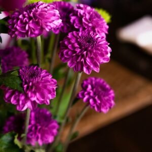 Purple Elegance Bouquet