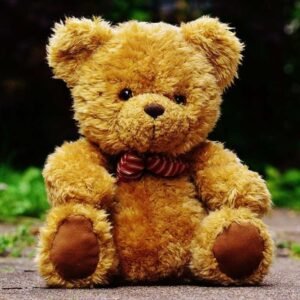 Classic Teddy Bear